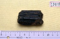 藏品(牛牙)的圖片